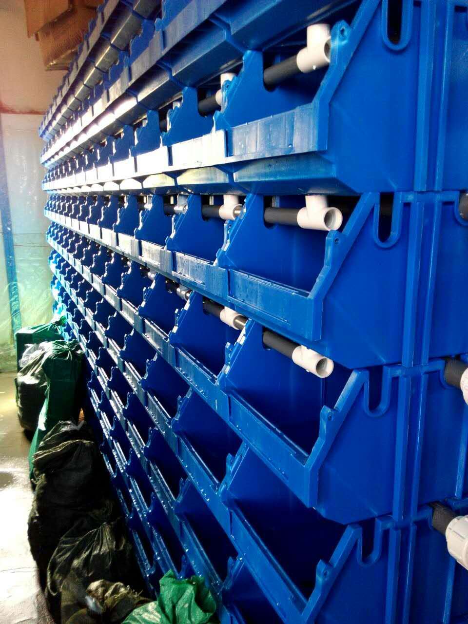 成都螃蟹盒，成都螃蟹養殖盒，成都塑料螃蟹盒